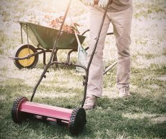 Limpieza de jardines Limpieza de jardines